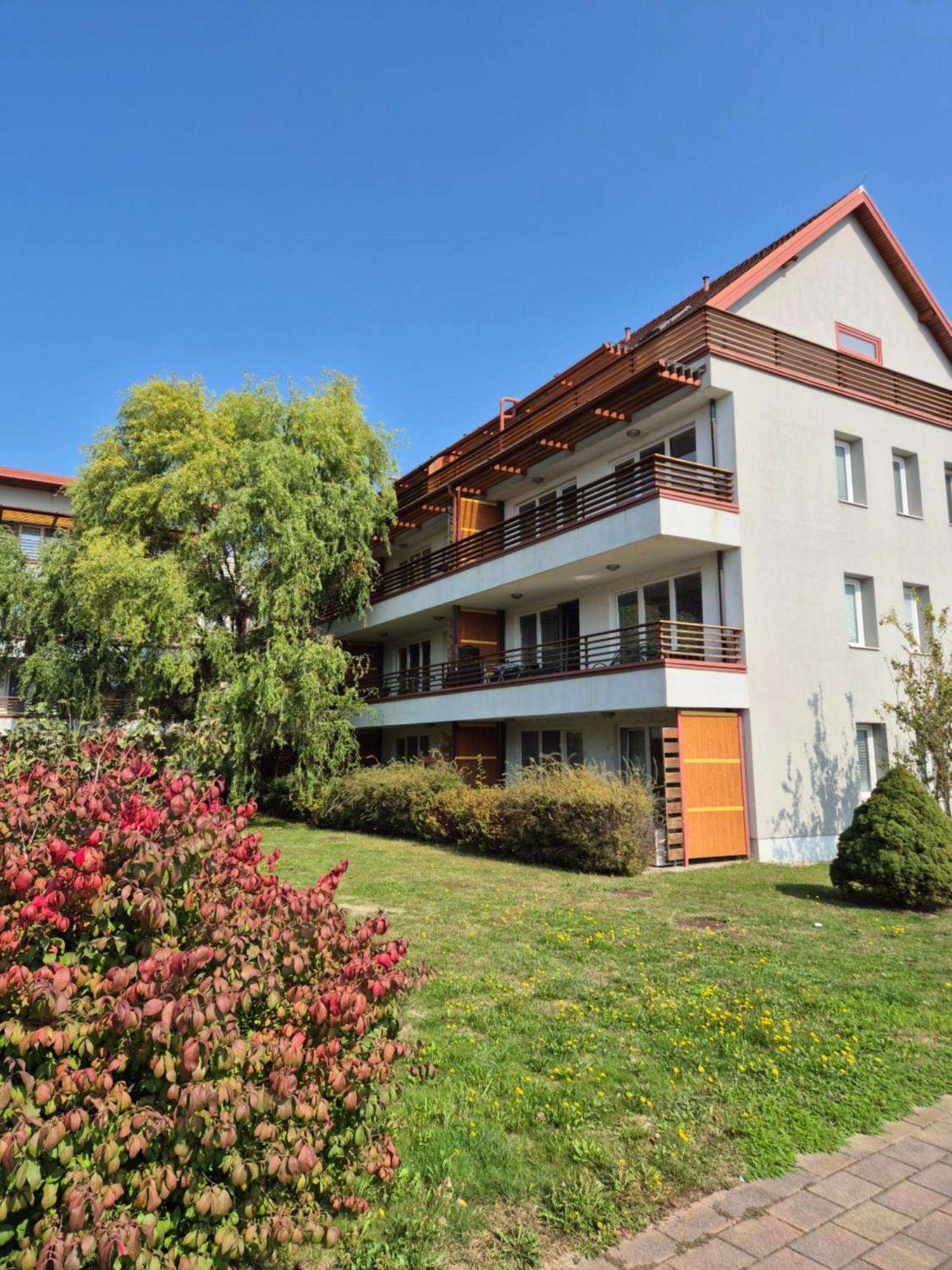 Apartman Paradise